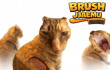 Brush Jjaemu img