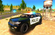Police Driver img