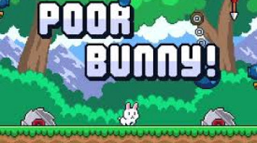 Poor Bunny Poor Bunny img