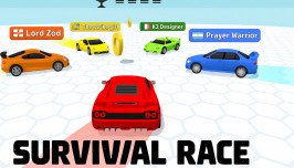 Survival Race img