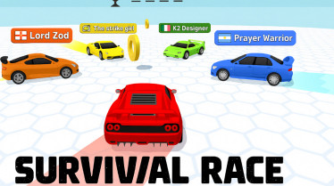 Survival Race Survival Race img